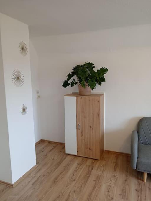 ממינגן Ferienwohnung Allgaeu 5 מראה חיצוני תמונה